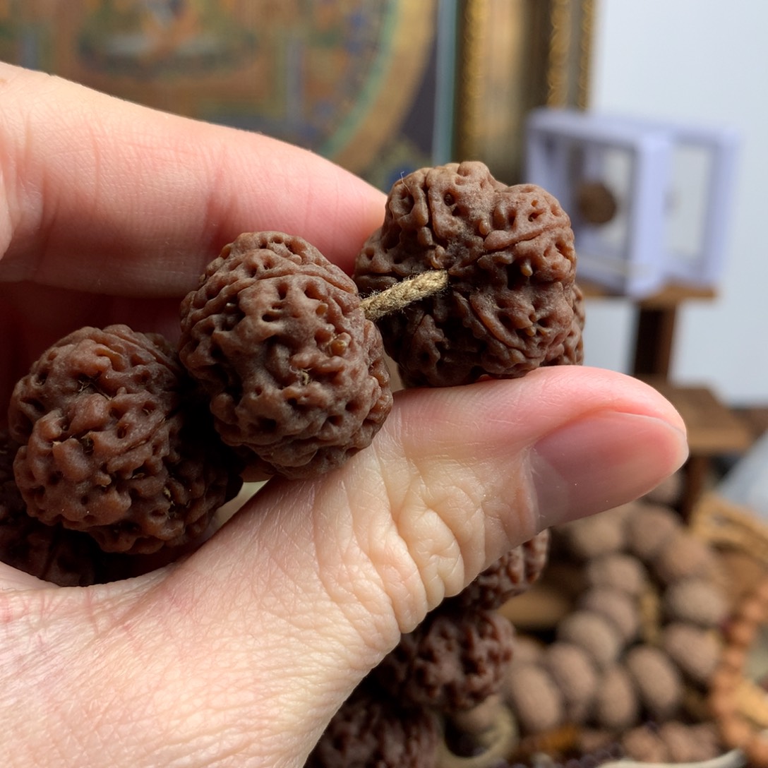 金刚菩提手串23梅花