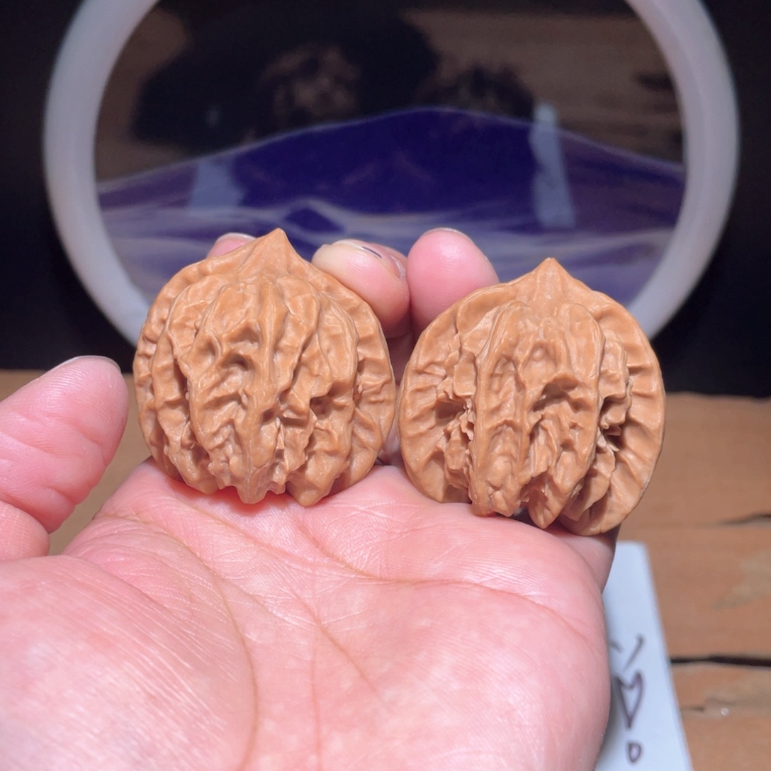 把件核桃S264。 38尺。 大龙