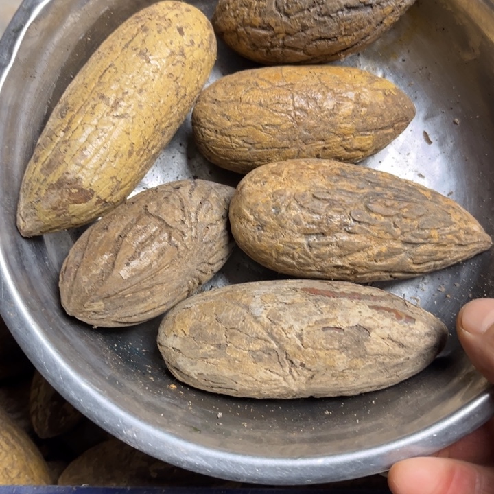 吊坠千眼菩提千眼菩提，26 号。