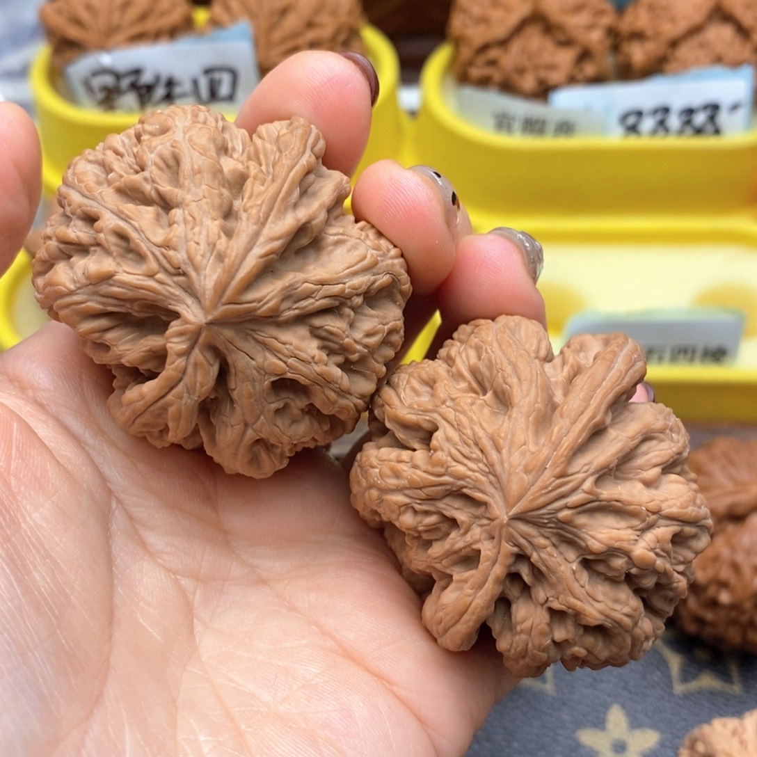 文玩核桃把件157号粗筋猫头鹰