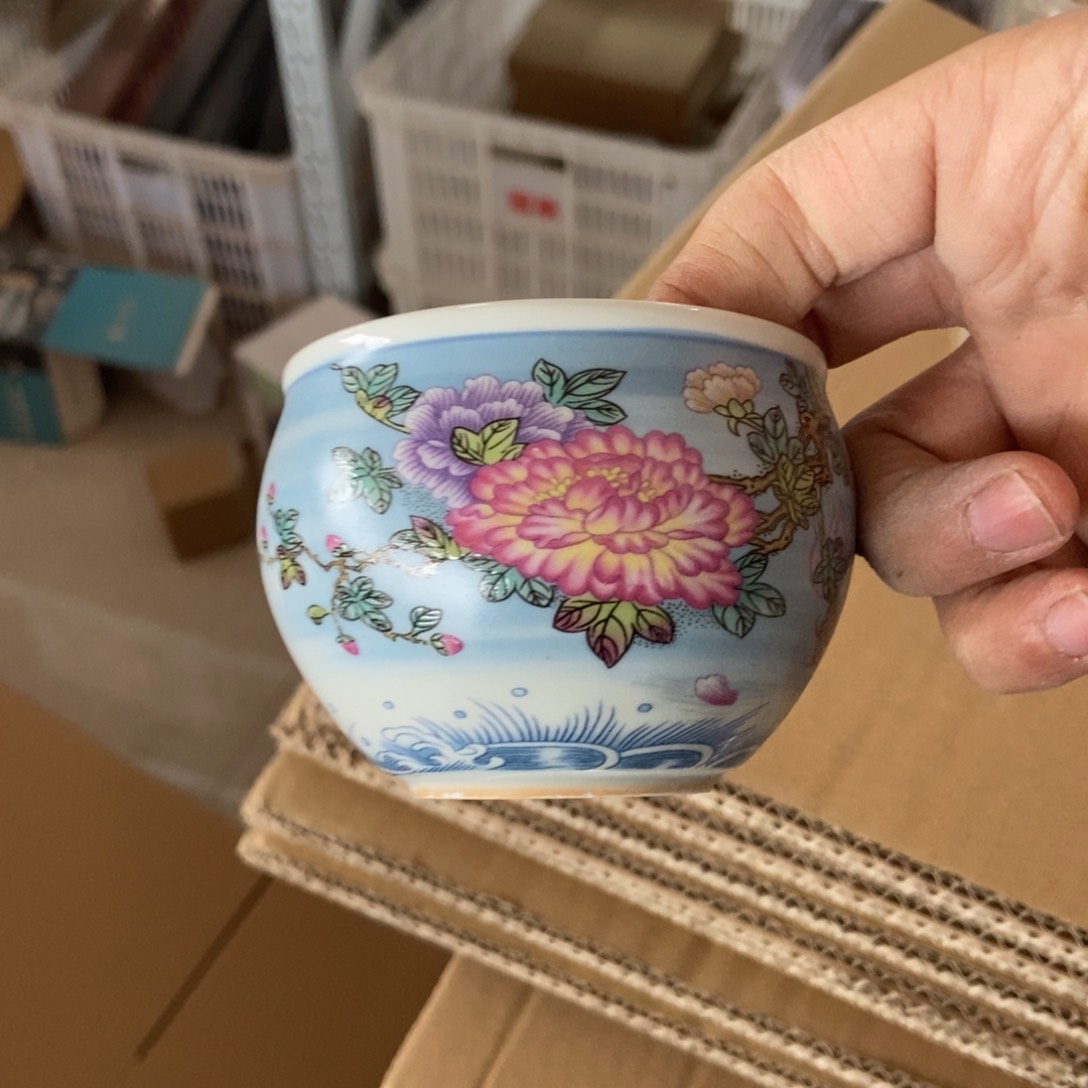 杯直播链接直播链接