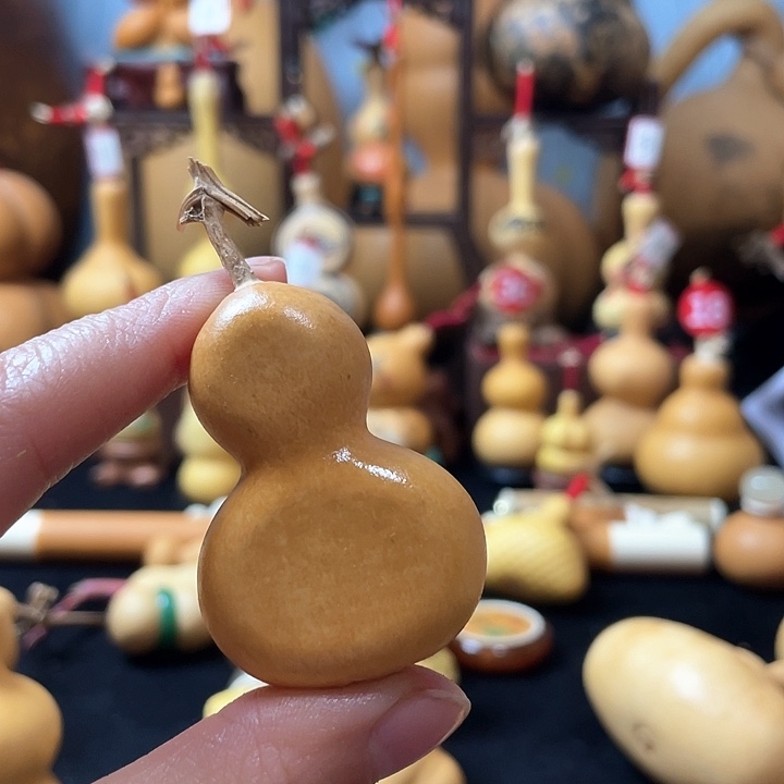 滴****啦葫芦丝老师在讲道理吗