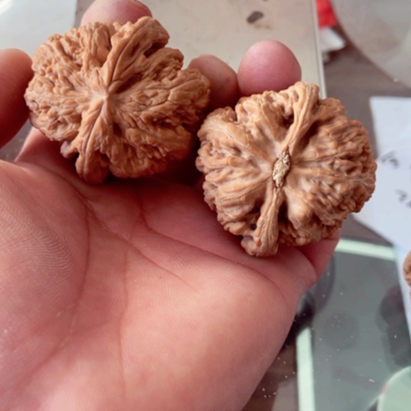 【闪购商品】军46尺寸全品无修大粗筋