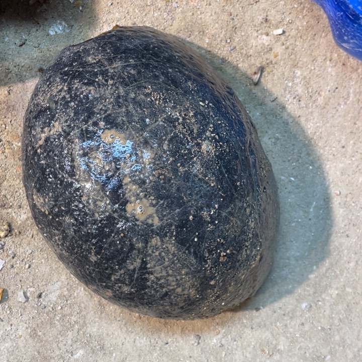 幸***6定制玛瑙定制玛瑙手镯