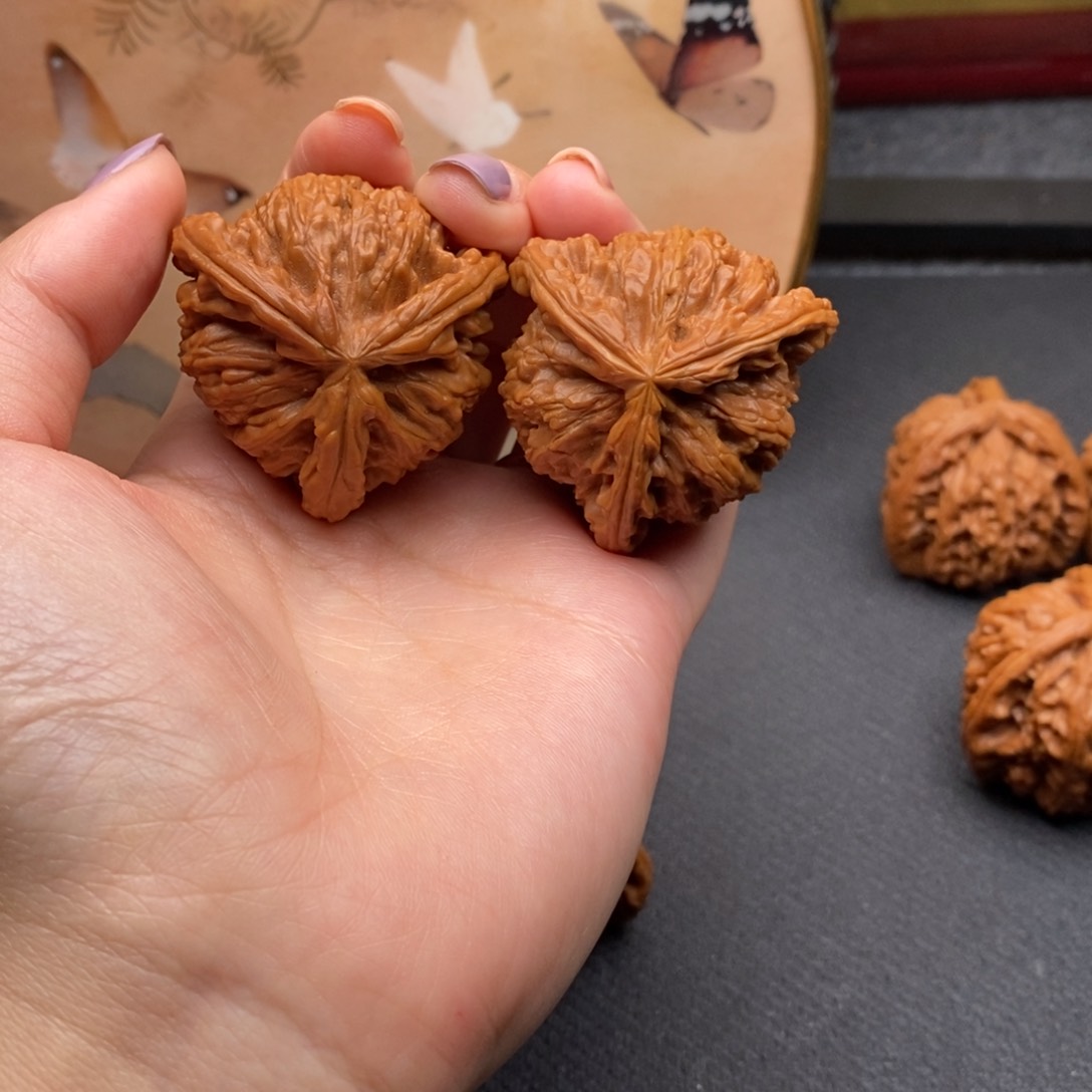 D****）白狮子11111111111