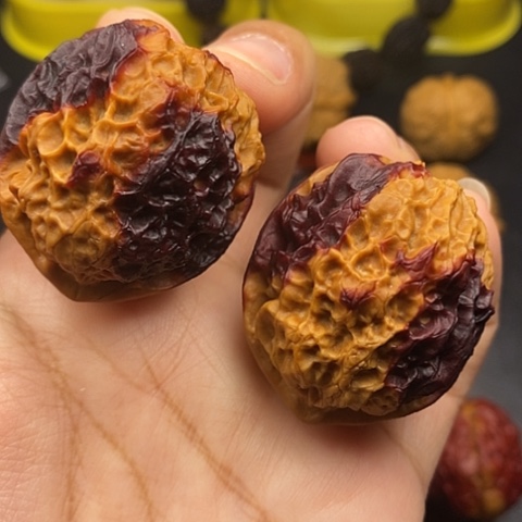 文玩核桃把件42尺珊瑚绣球