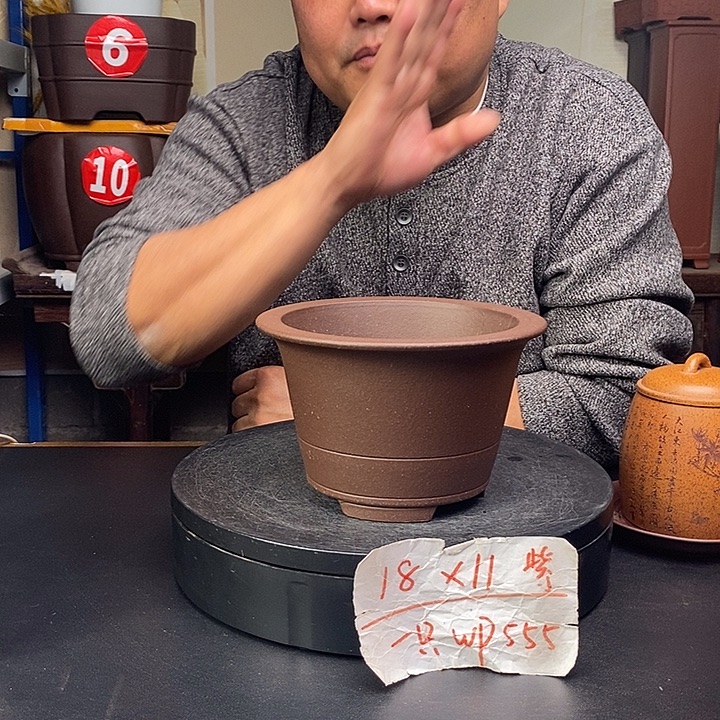 花盆紫砂货号一只WP555