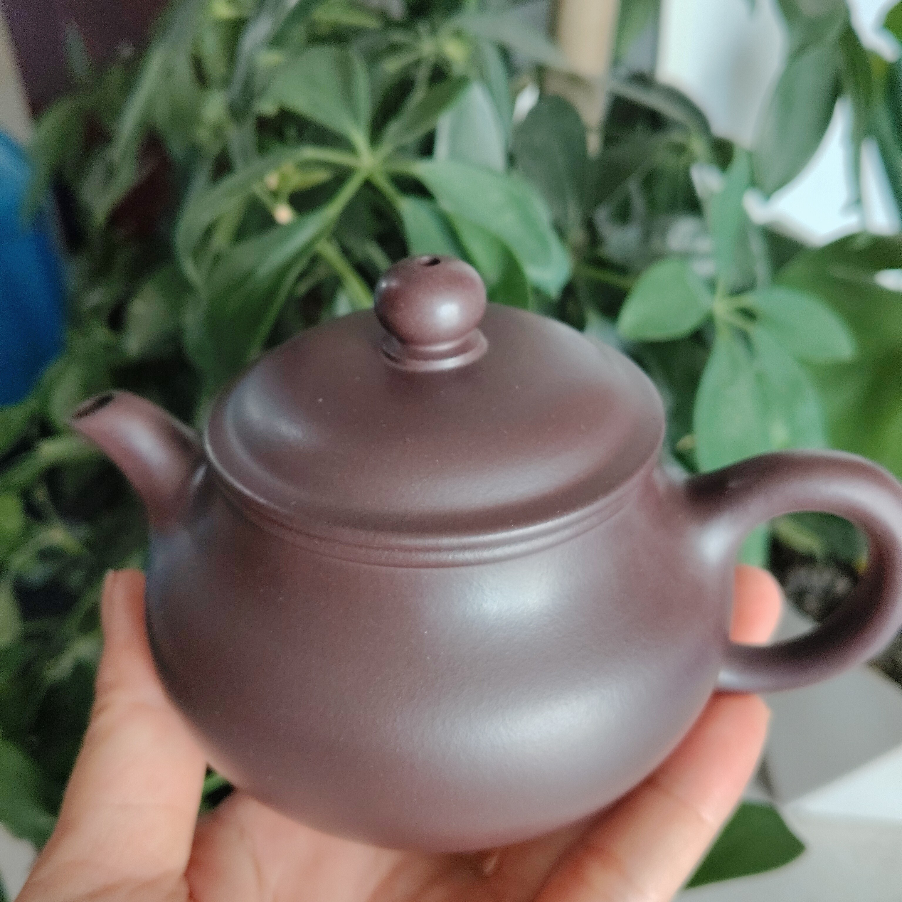 明炉.紫砂壶精工半手.容量200cc左右