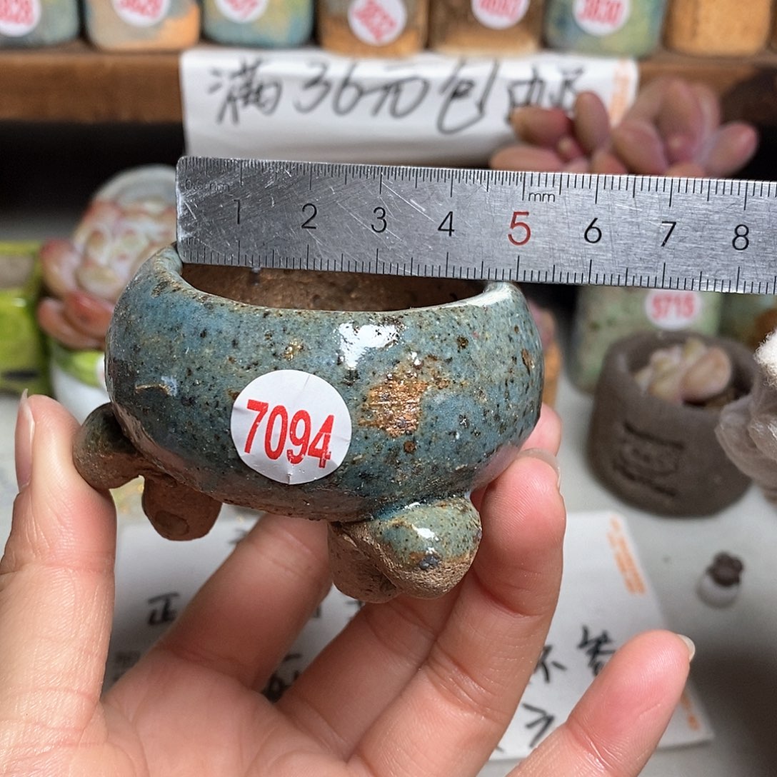 红陶拍5送一个小，处理