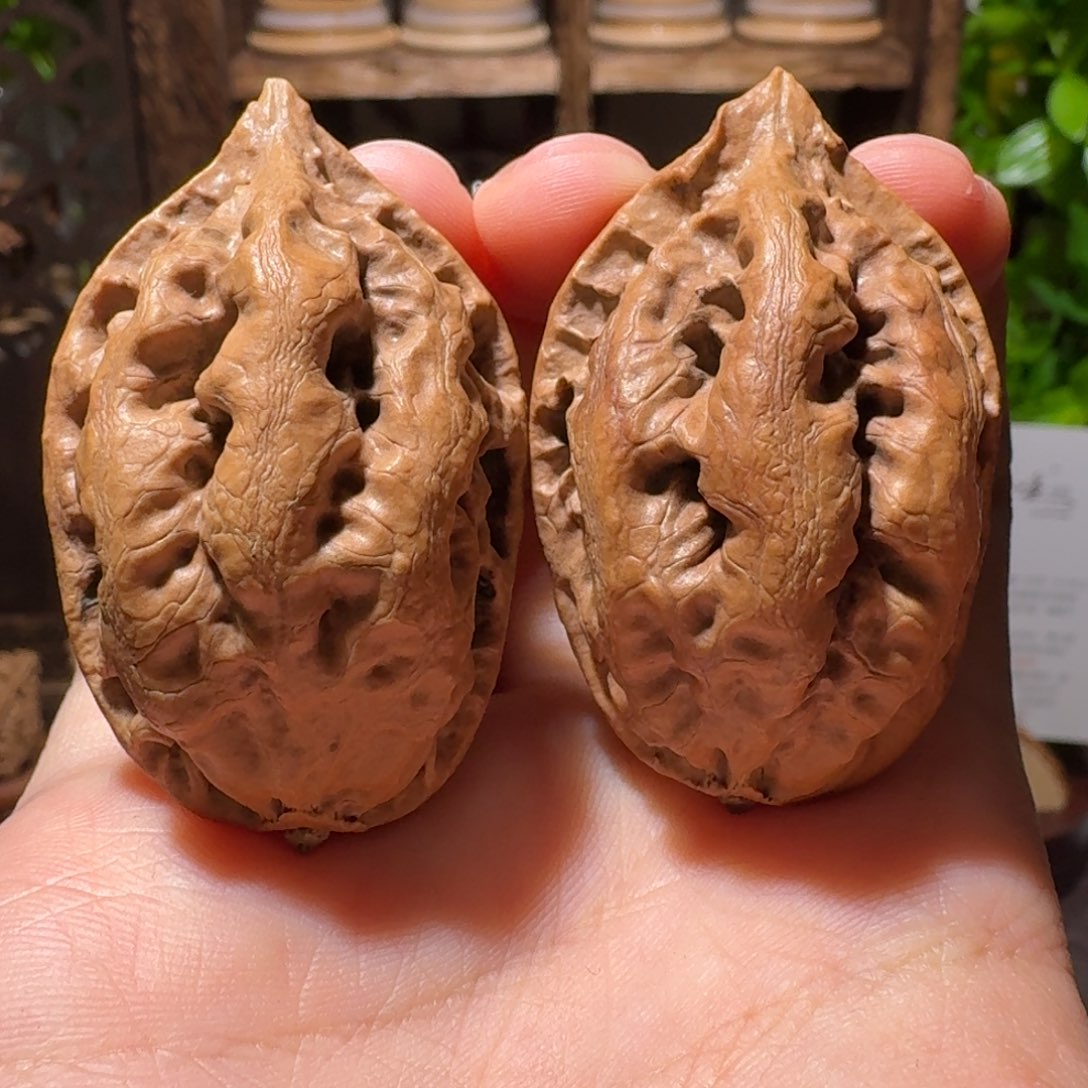 文玩核桃把件霸王筋