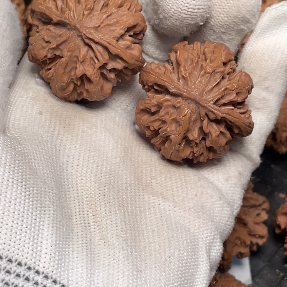 大***彬吊坠桃核9 秦岭灯笼野生小众