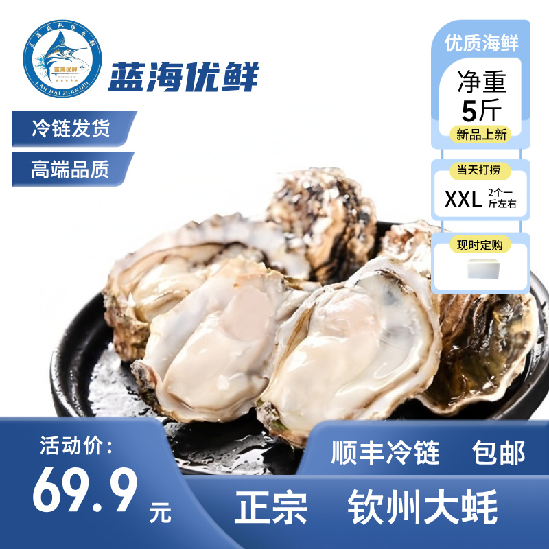 鲜活正宗钦州生蚝5斤带壳中蚝