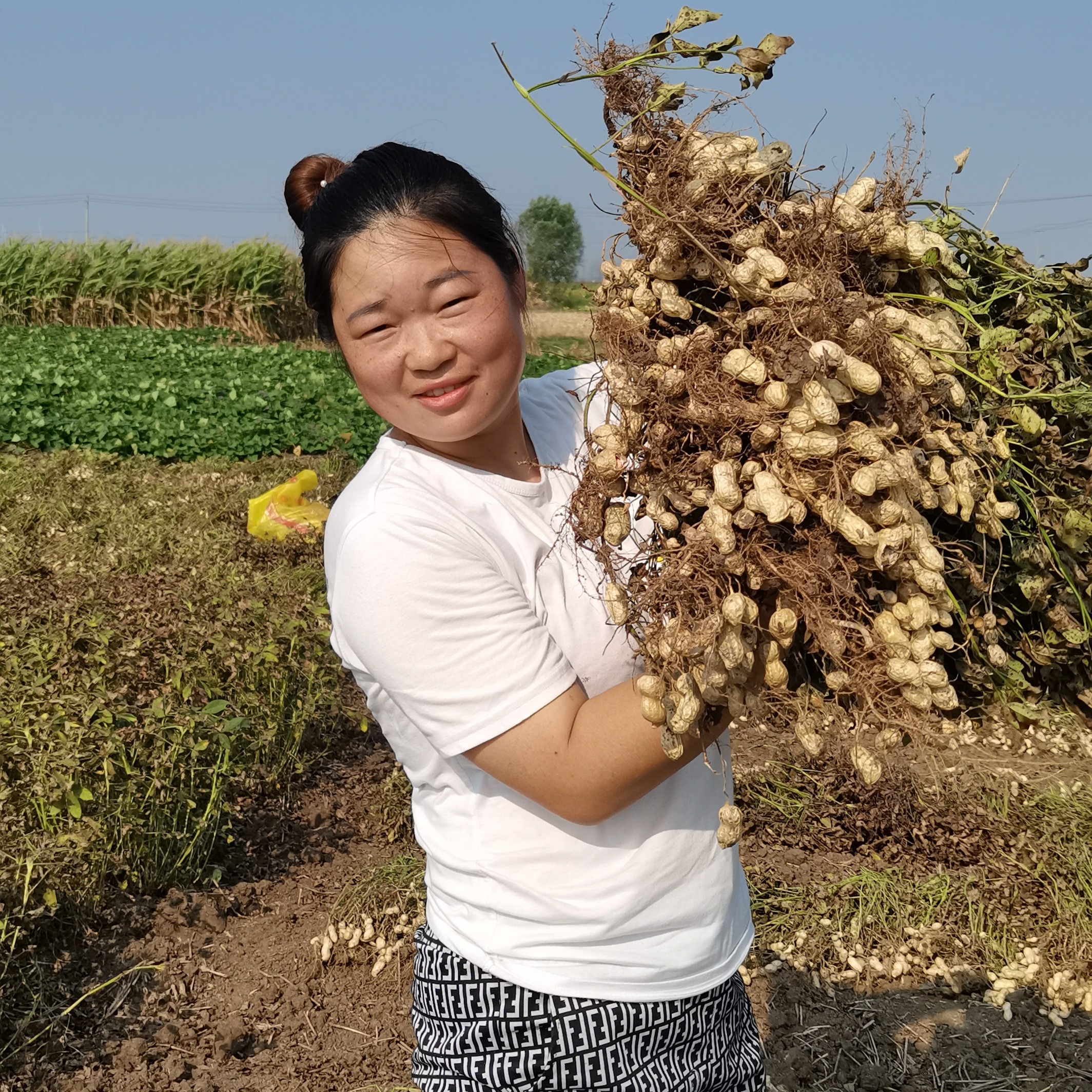 海燕自家种植2025年新花生新鲜发货颗颗精选3-5斤装现摘现发