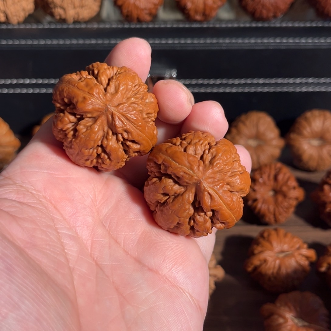 手串/手链核桃41回血霸王龙