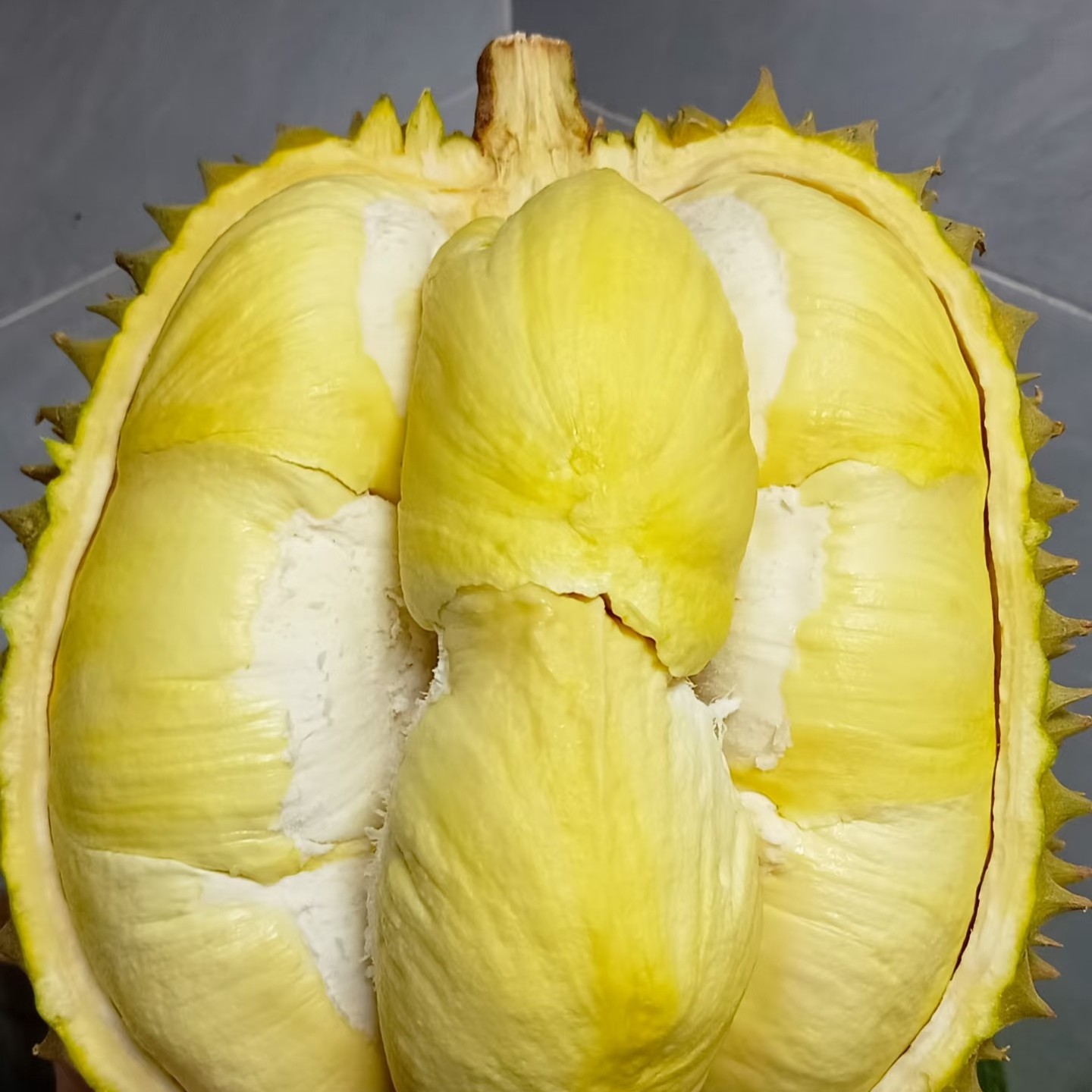 【果满滋】新鲜金枕榴莲/一公斤/核小/一果一重金枕5号金枕