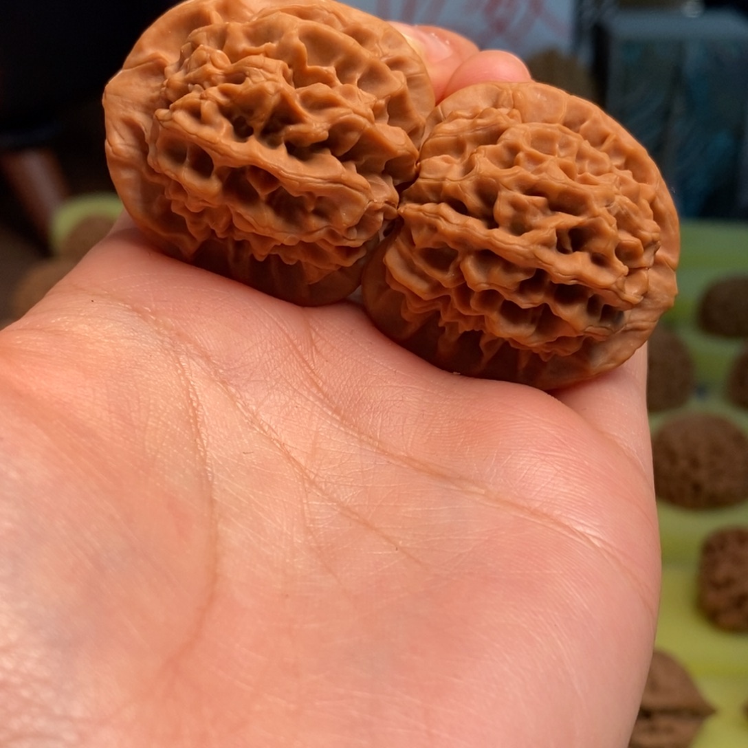 核桃秦岭闷尖狮子头36