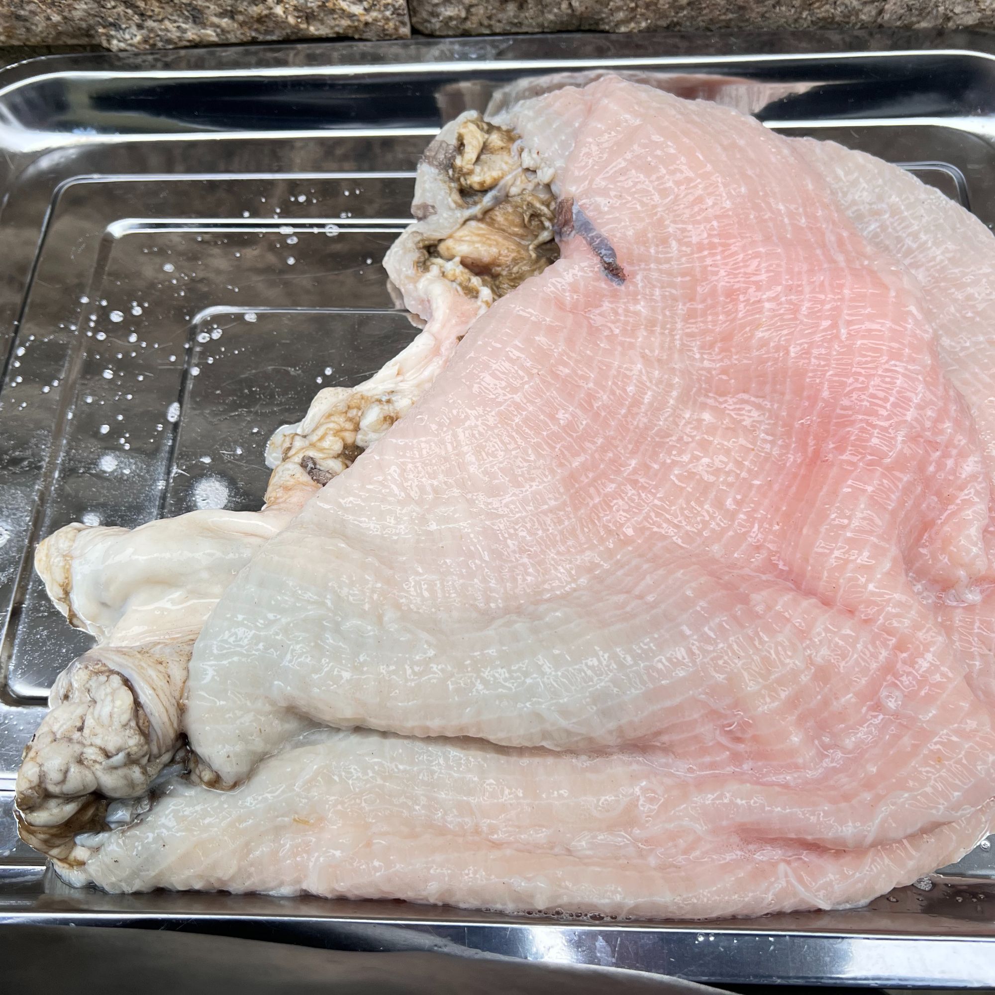 特价2斤 屠宰鲜毛肚底板 带油 冷冻发货 毛肚边角  固形物含量2斤