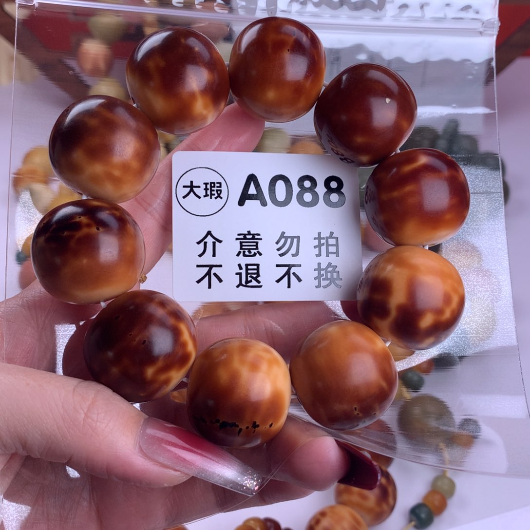 菩提根/象牙果吊坠2.6