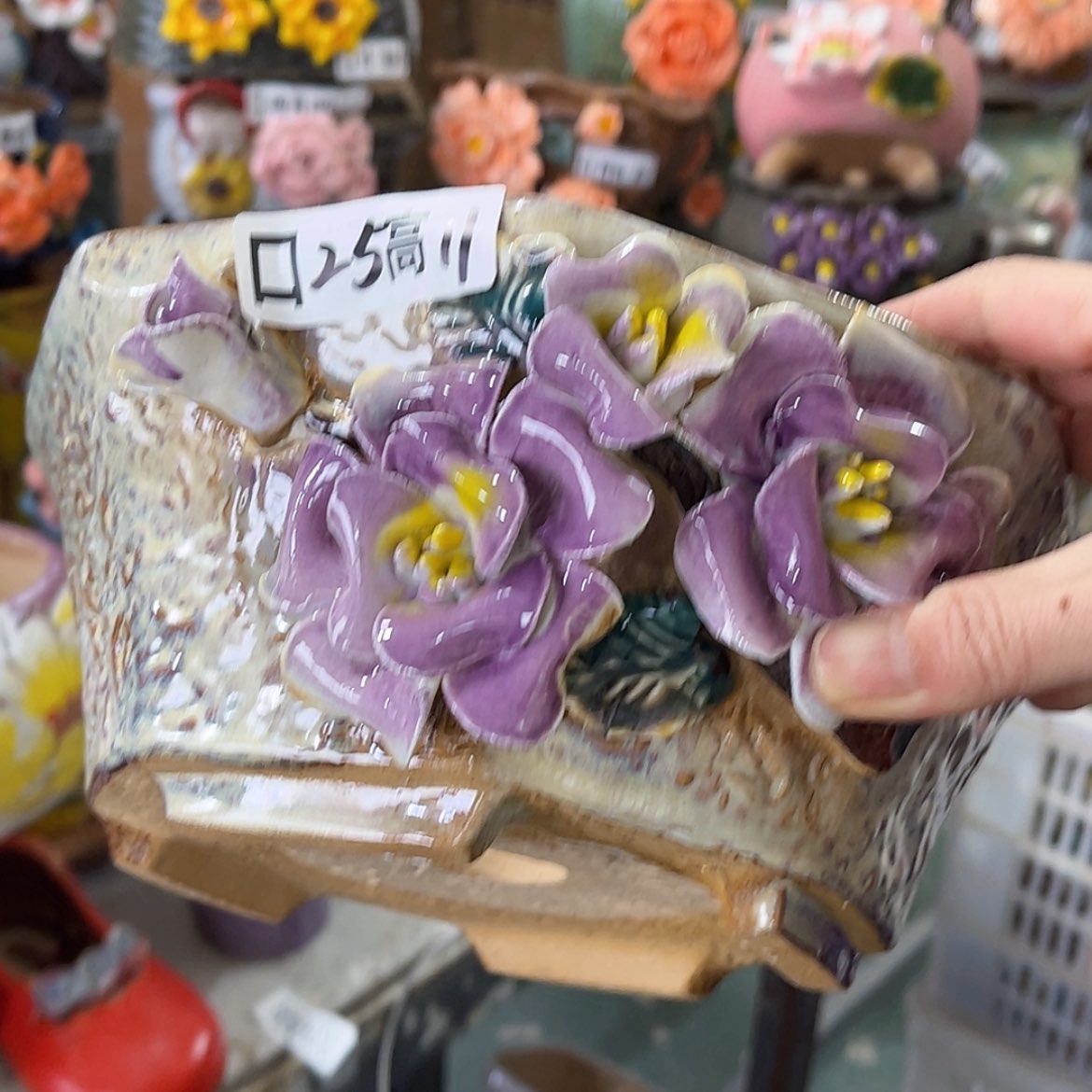 【闪购商品】红陶福利
