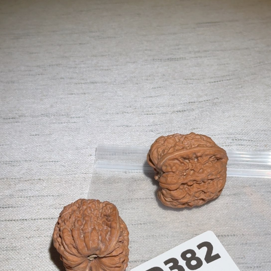 文玩核桃吊坠凹底382