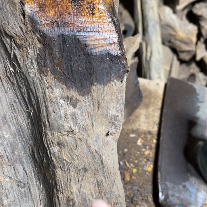 清***在贡木把件感谢大家支持