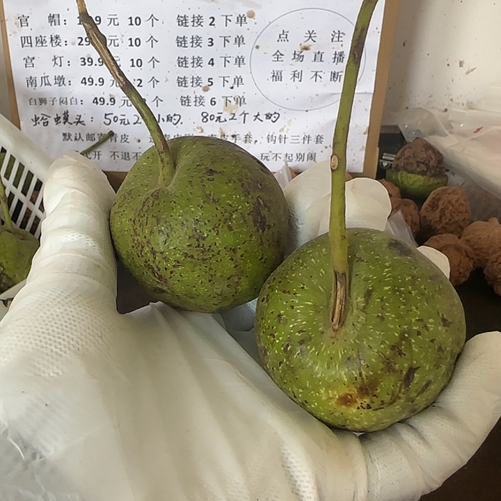 吊坠文玩核桃白狮子中小2