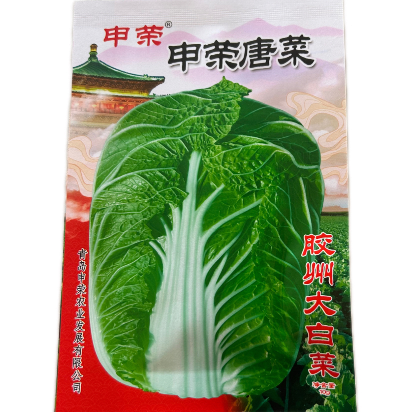 申荣胶州大白菜优质高产抗病耐贮大白菜大田用种秋季播种白菜种子
