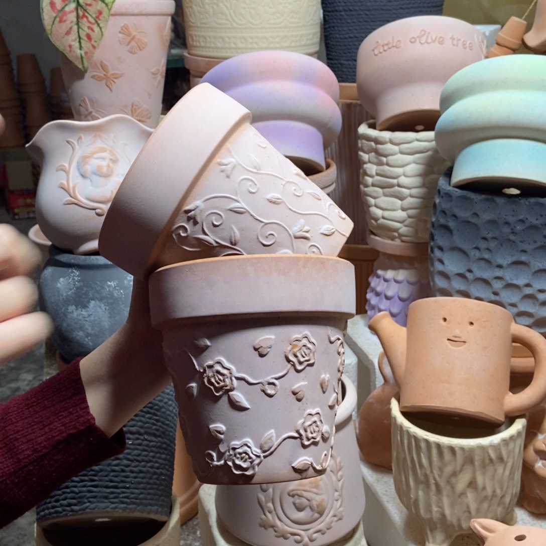 14×13雾化国际玫瑰+钩藤2个