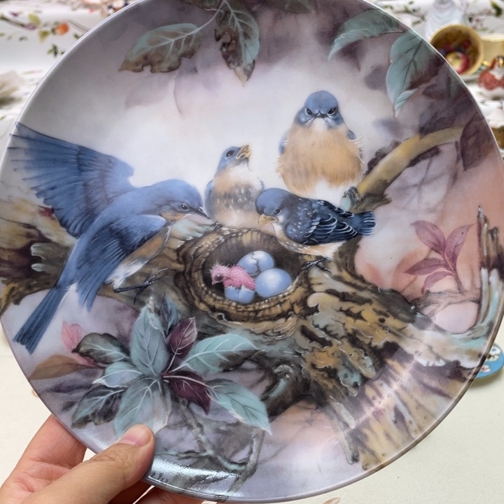 盘维多利亚欧洲中古