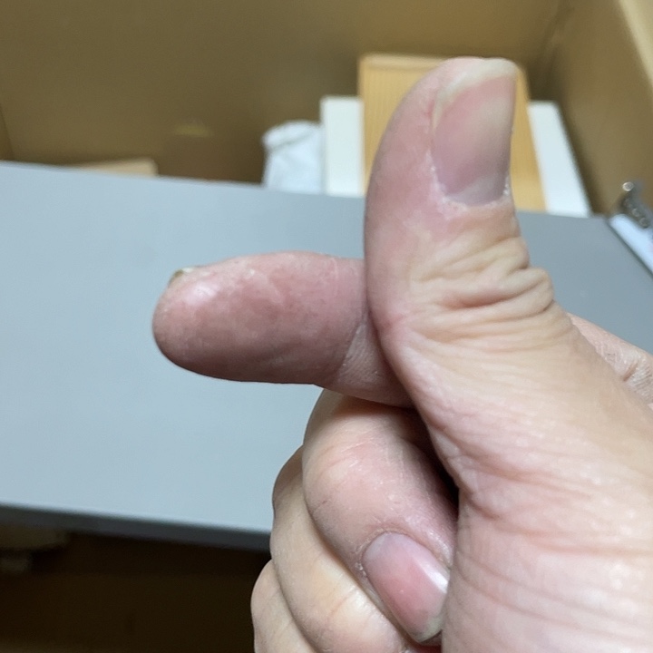 非****瓷器酒杯茶杯135568889