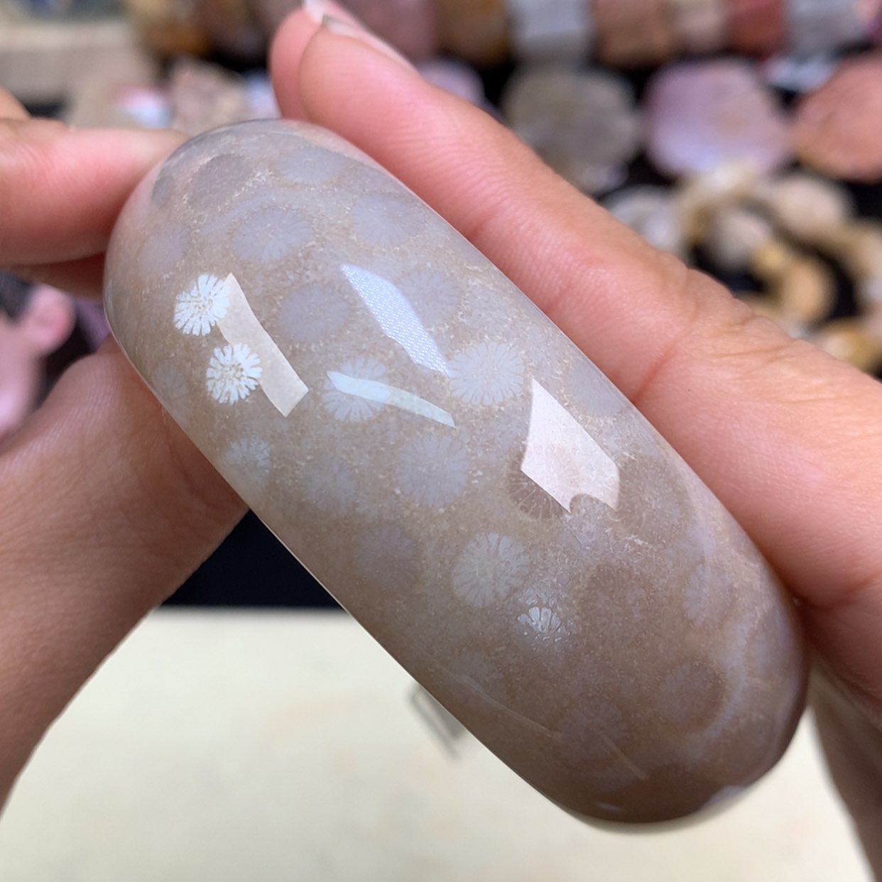 【闪购商品】颈饰未镶嵌硅化珊瑚（珊瑚玉）精美手镯56圈（23号）