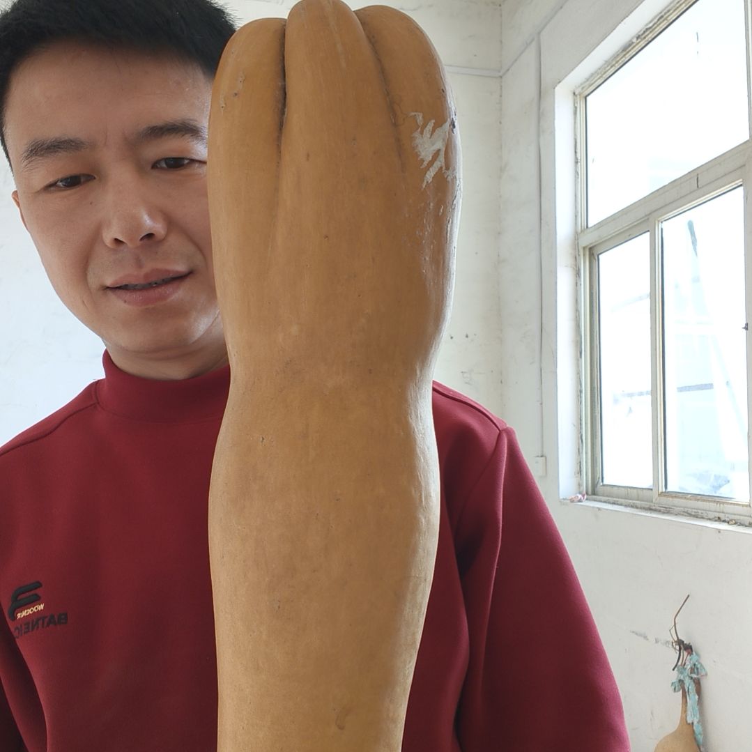 葫芦娃救爷爷一个一个的来