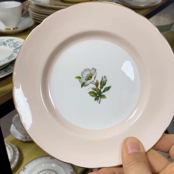 现代菲宝瓷器直播间欧瓷