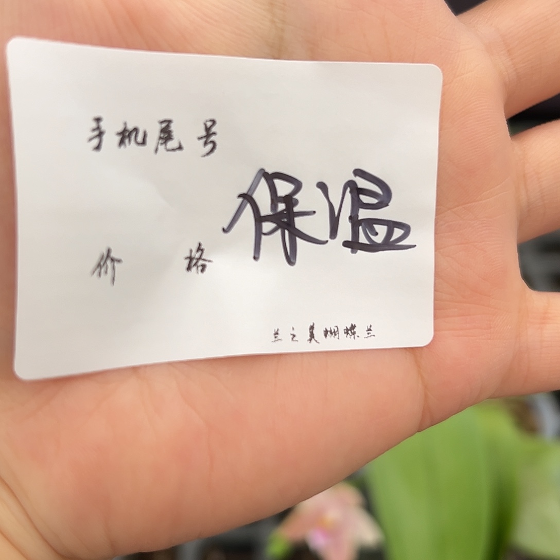 完全开放保温不要乱拍哈