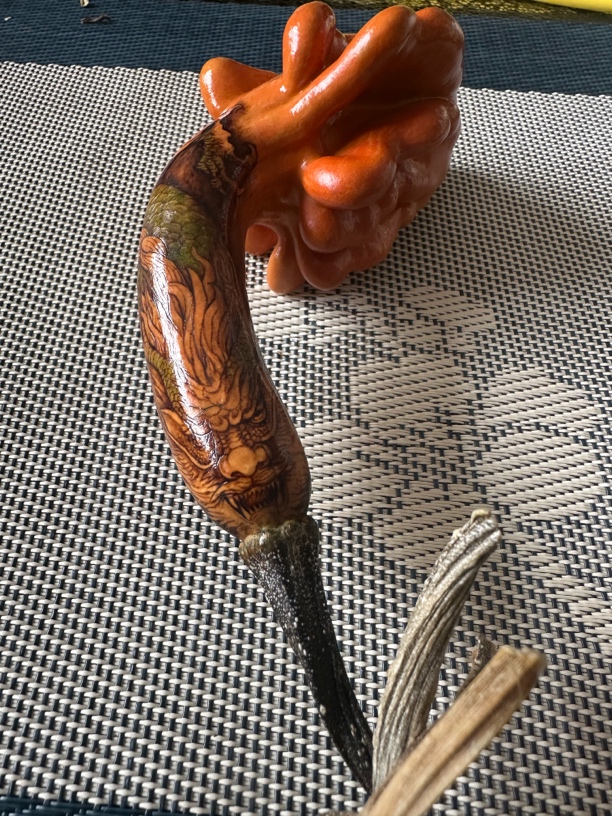 墨西哥异形白菜形葫芦“烙画龙”
