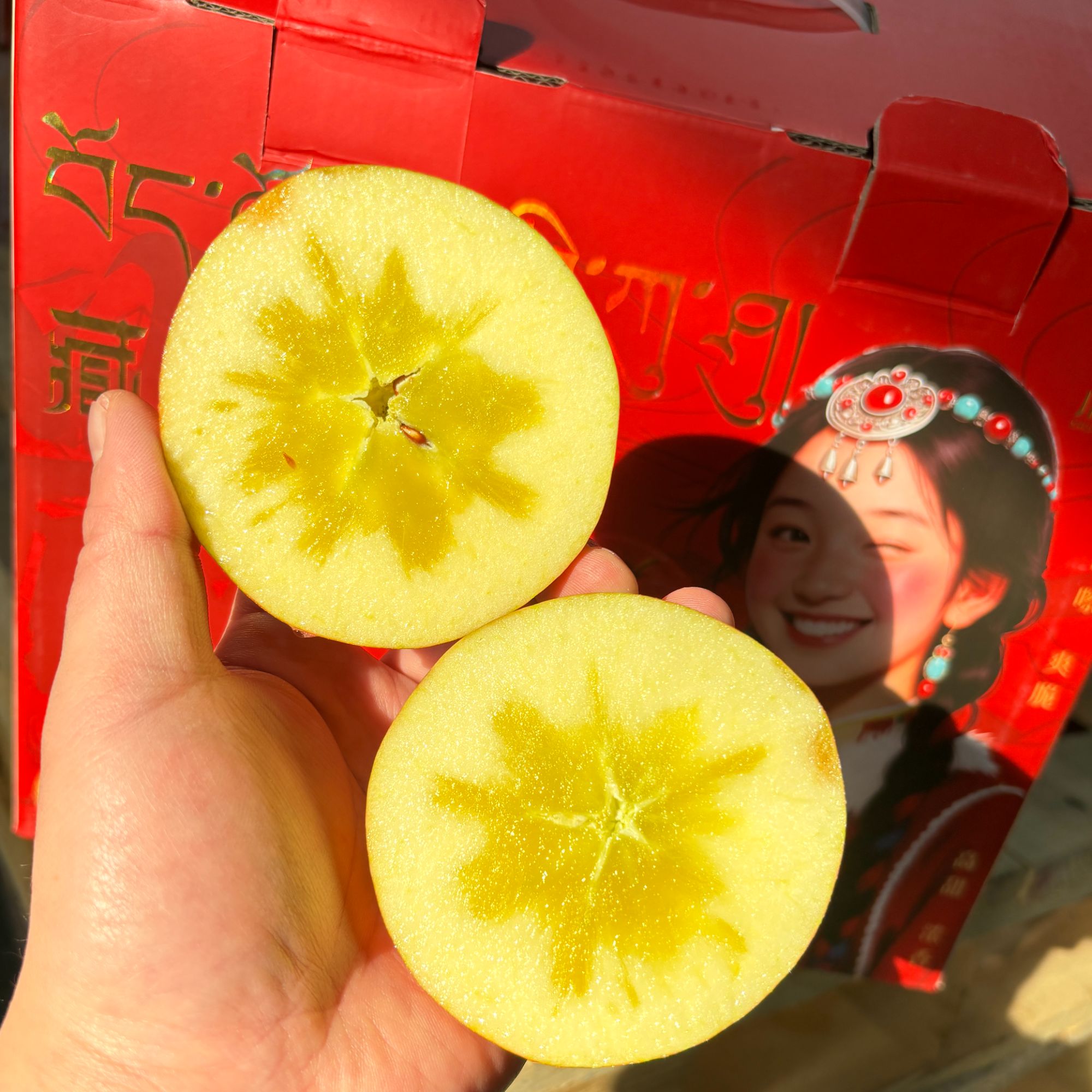 【老何严选】藏区冰糖心苹果礼盒装4.8斤左右（果子有花皮，大小不一）