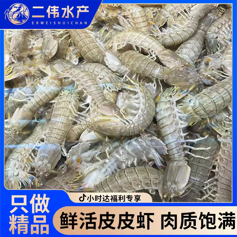 二伟水产断痒虾爬子包邮三斤99