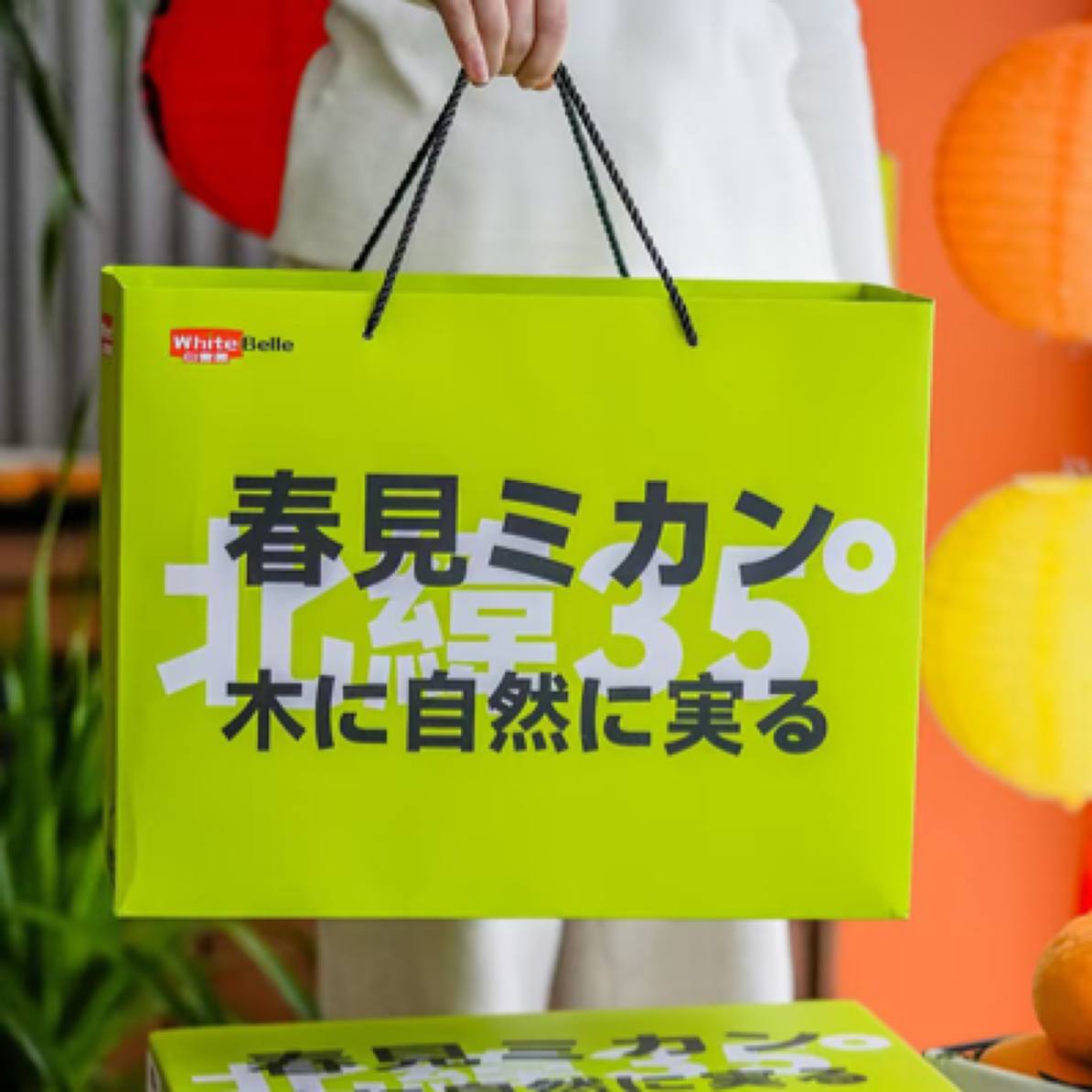 桔子界天花板.网红大丑桔白富美四川省