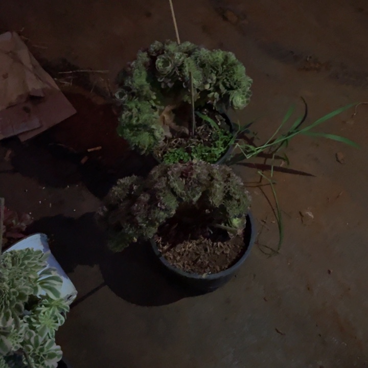 侃****t寄养空包邮费--