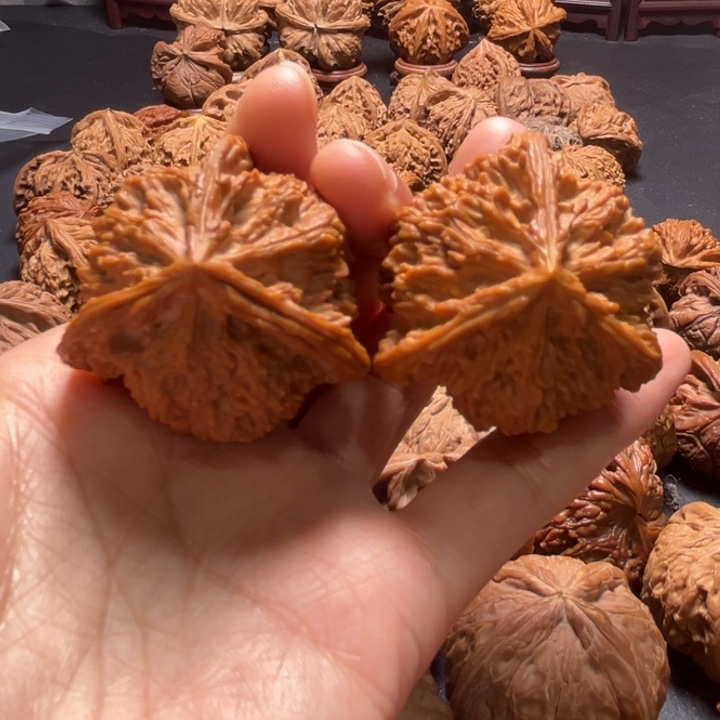 流星雨三棱40尺寸核桃哈哈哈哈哈哈