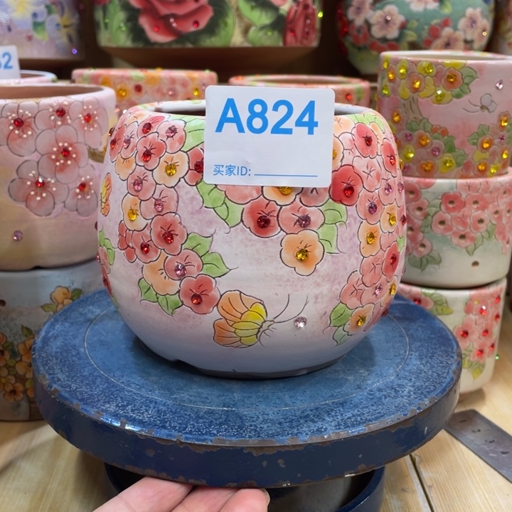 微瑕多肉花盆小花