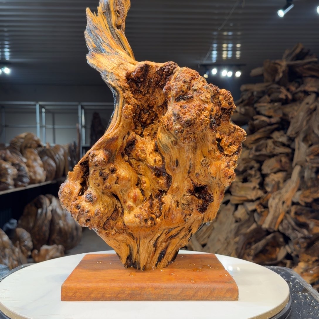 人***态木王一刀琥珀木摆件69