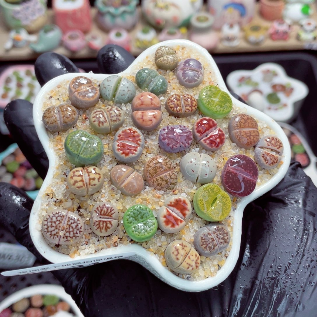 夜间零下地区拍保温箱w6316