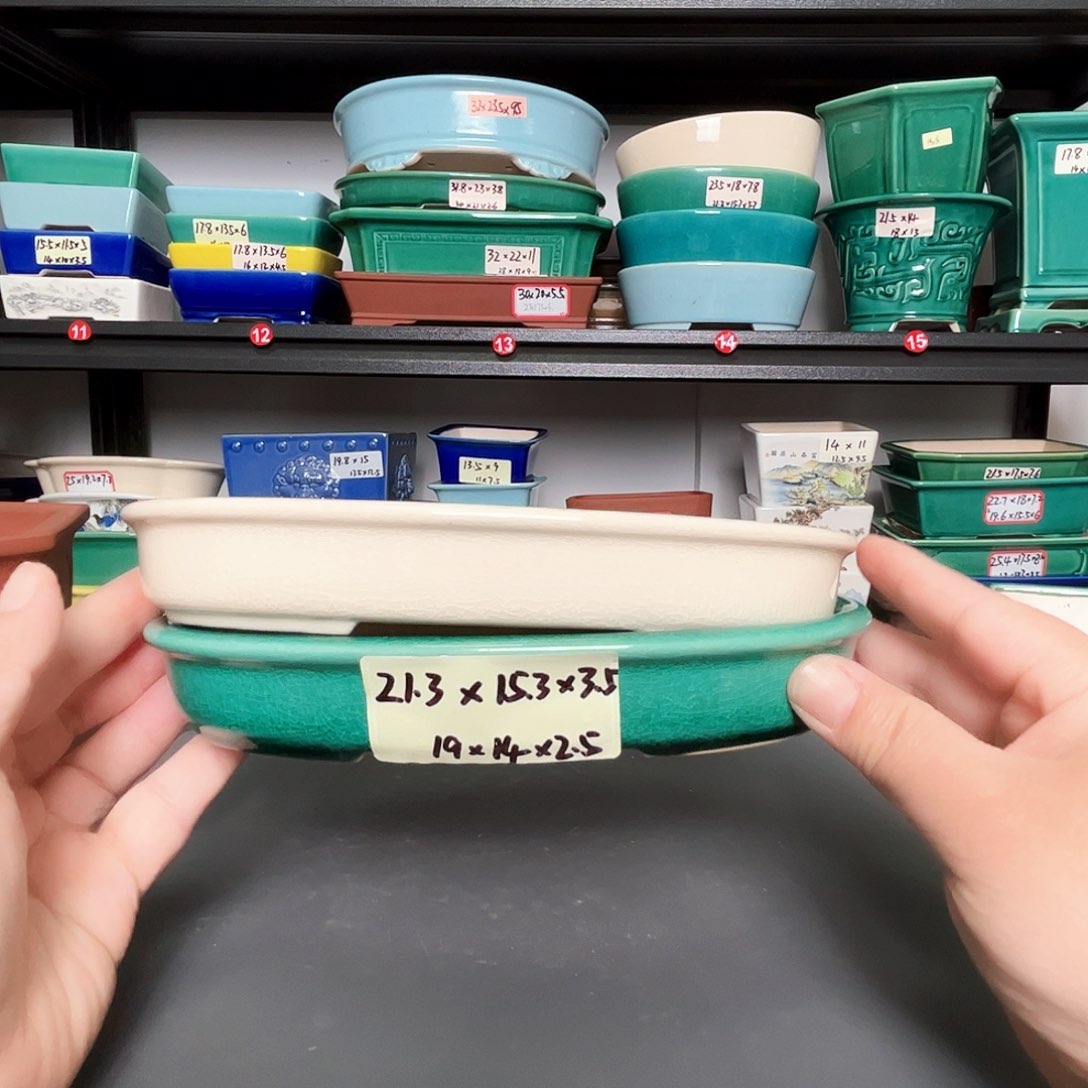 紫砂只差花盆链接