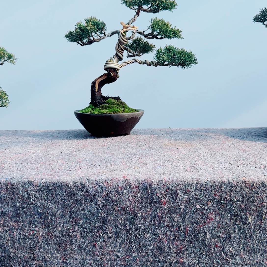 A***3完全开放一物一拍济州