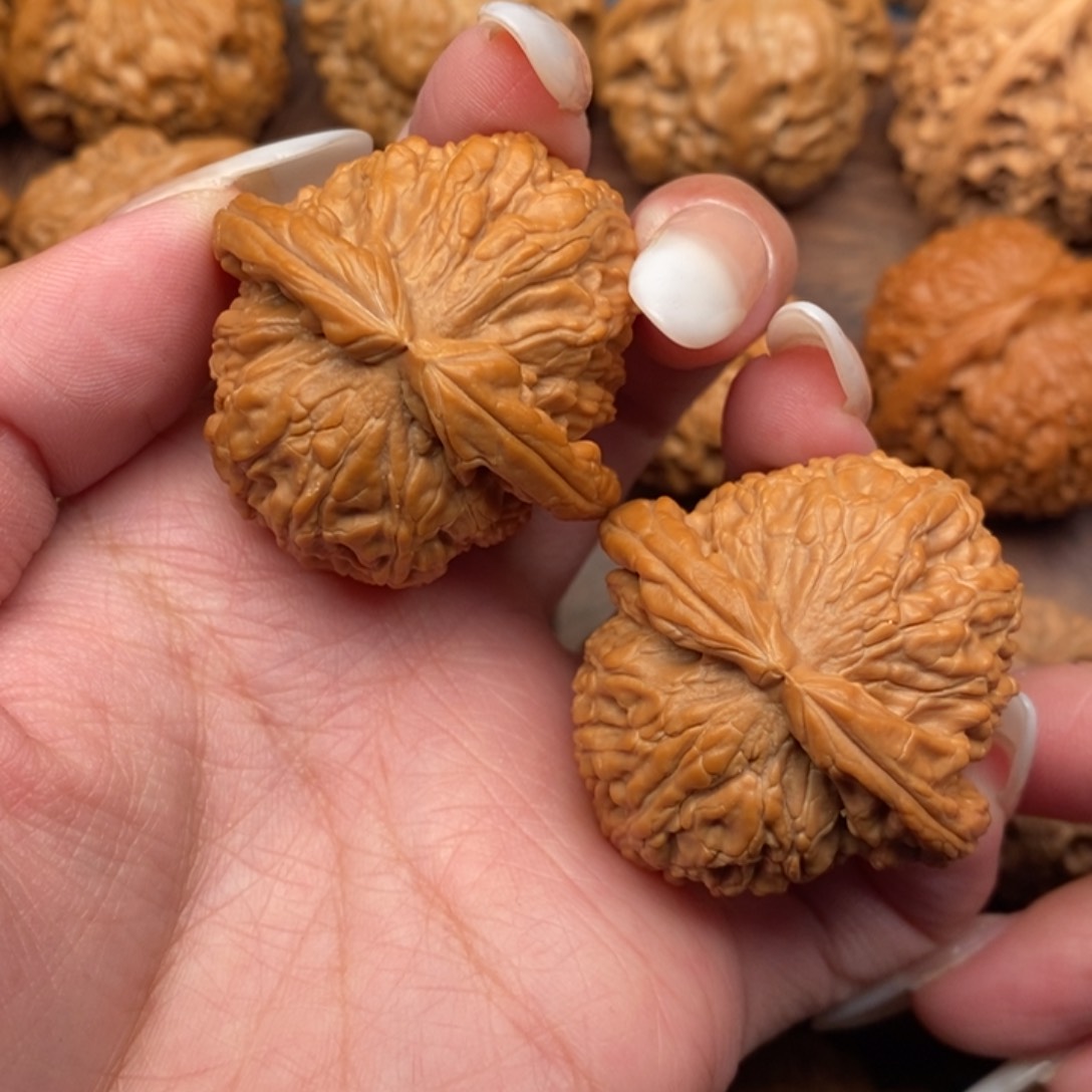 文玩核桃把件全品，红皮球白同树40