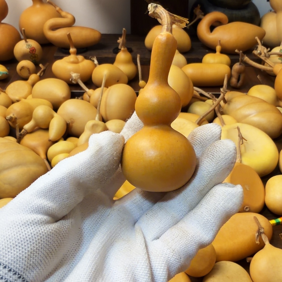 在***我纯天然的真葫芦30