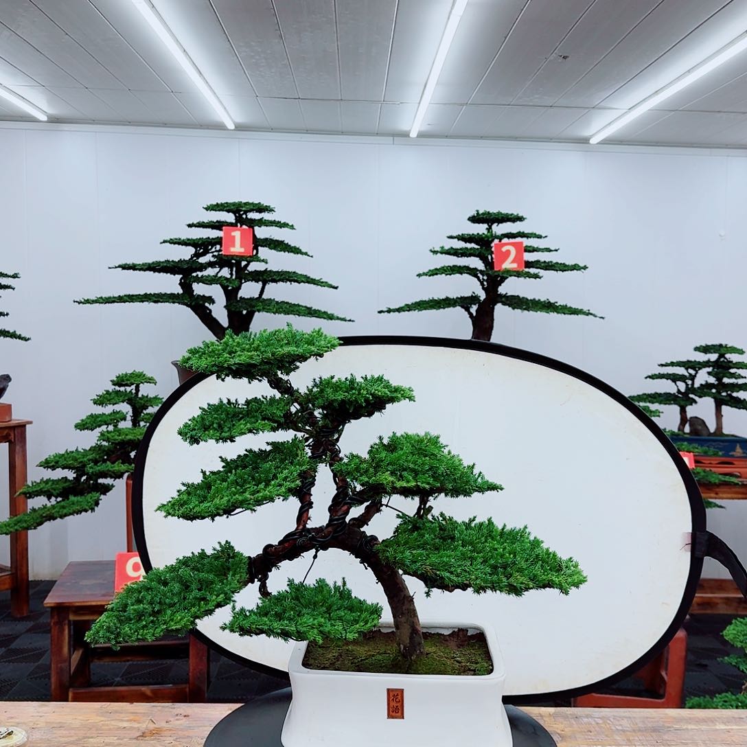 无花朵曼**学0000000000000000