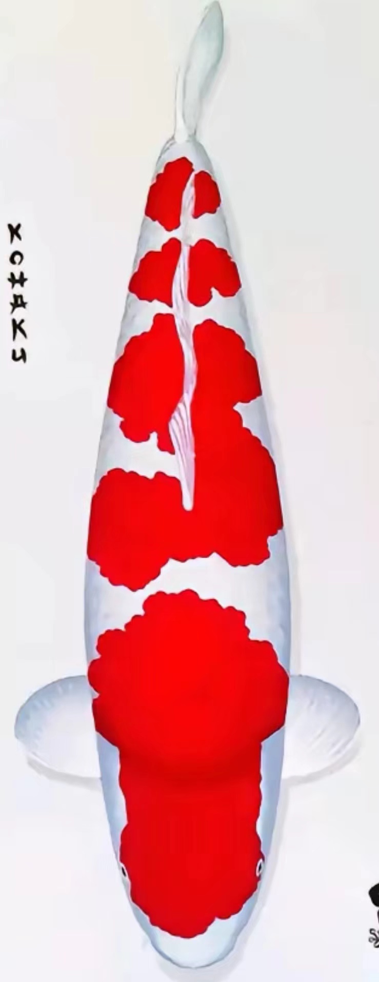 清池放漏，海南新疆内蒙西藏限购