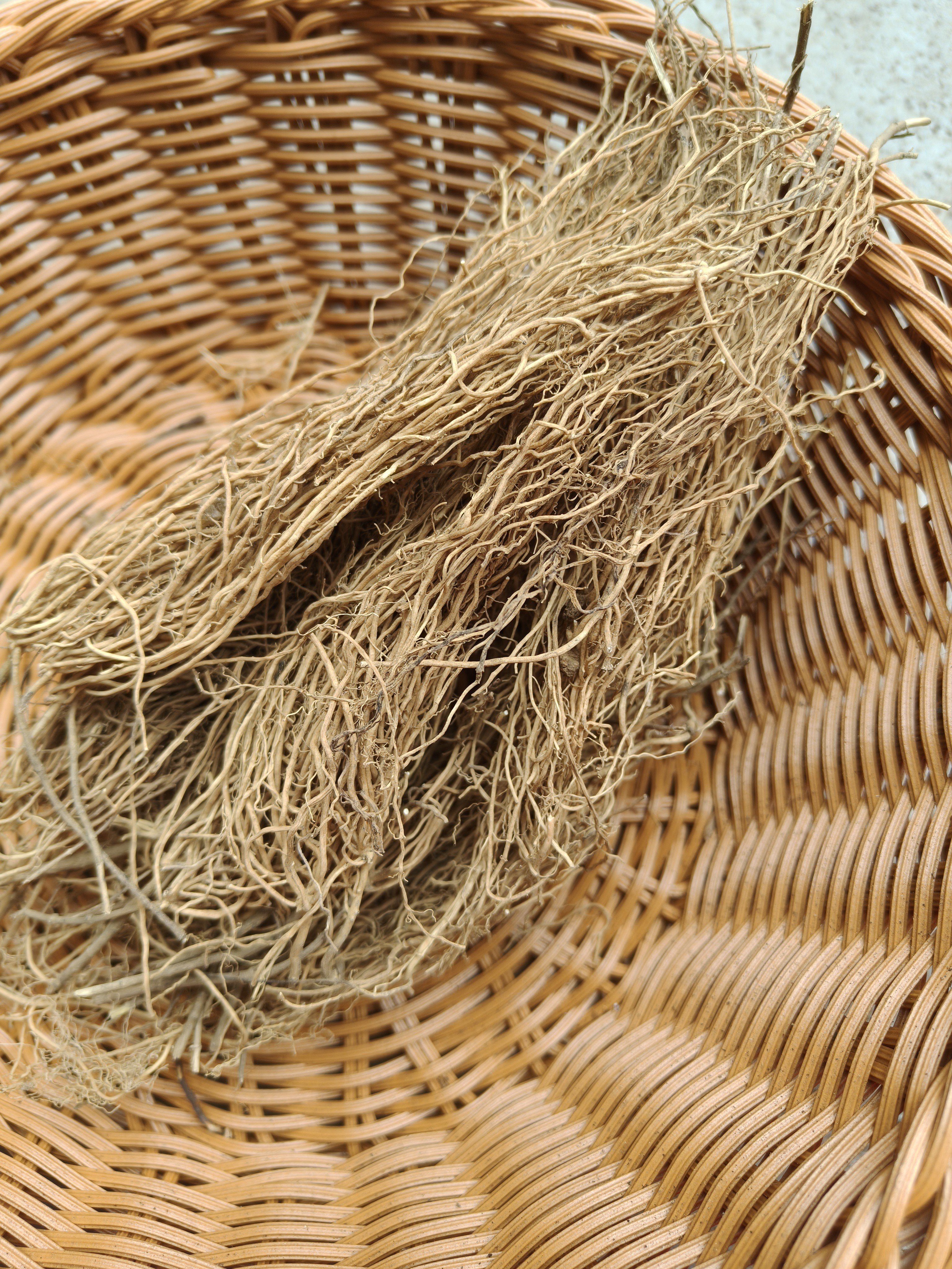 广西野生徐长卿了刁竹